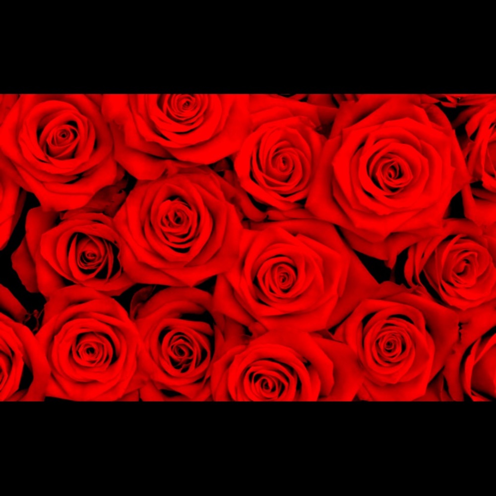 Meet your Posher, Anali